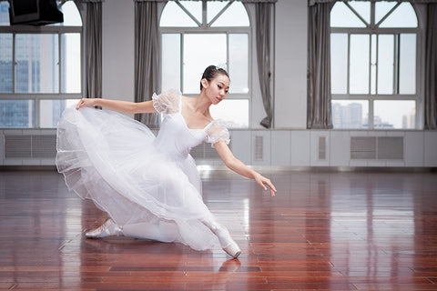 Swan Lake Inspired Veil Tutu Skirt