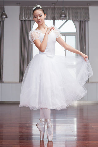 Swan Lake Inspired Veil Tutu Skirt